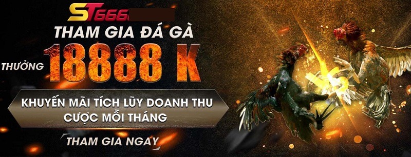 Đá gà trực tiếp Thomo ngày hôm nay