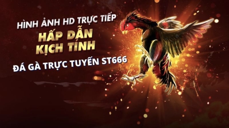 bình luận trực tiếp đá gà thomo hôm nay