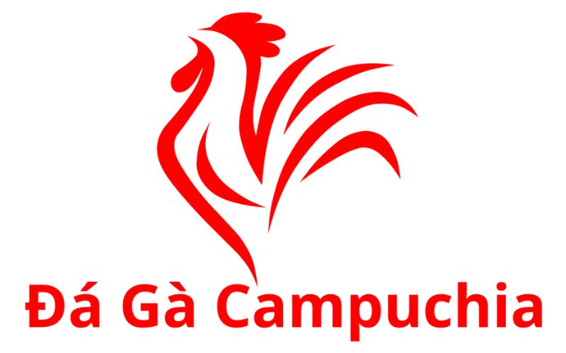 đá gà campuchia dagacampuchia.com