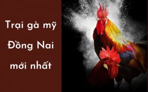 Trại gà mỹ Đồng Nai mới nhất