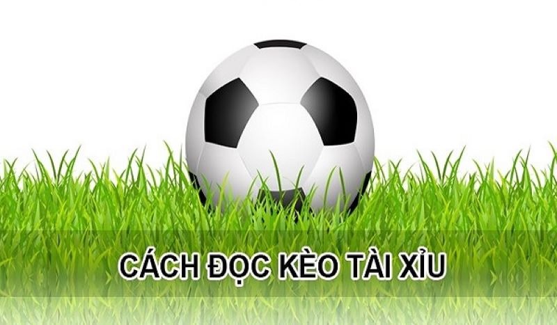 cách đọc kèo bóng đá