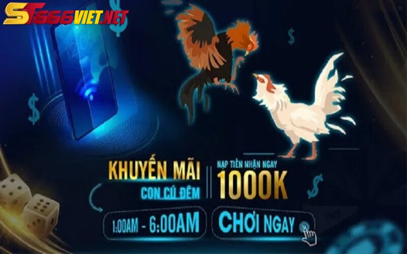 Nhiều khuyến mãi hấp dẫn